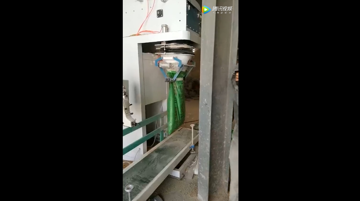 豆粕包裝機試機現(xiàn)場